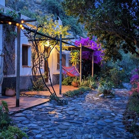 Cortijo Jamaica - Off Grid Paradise - Costa Tropical Los Diaz  ภายนอก รูปภาพ