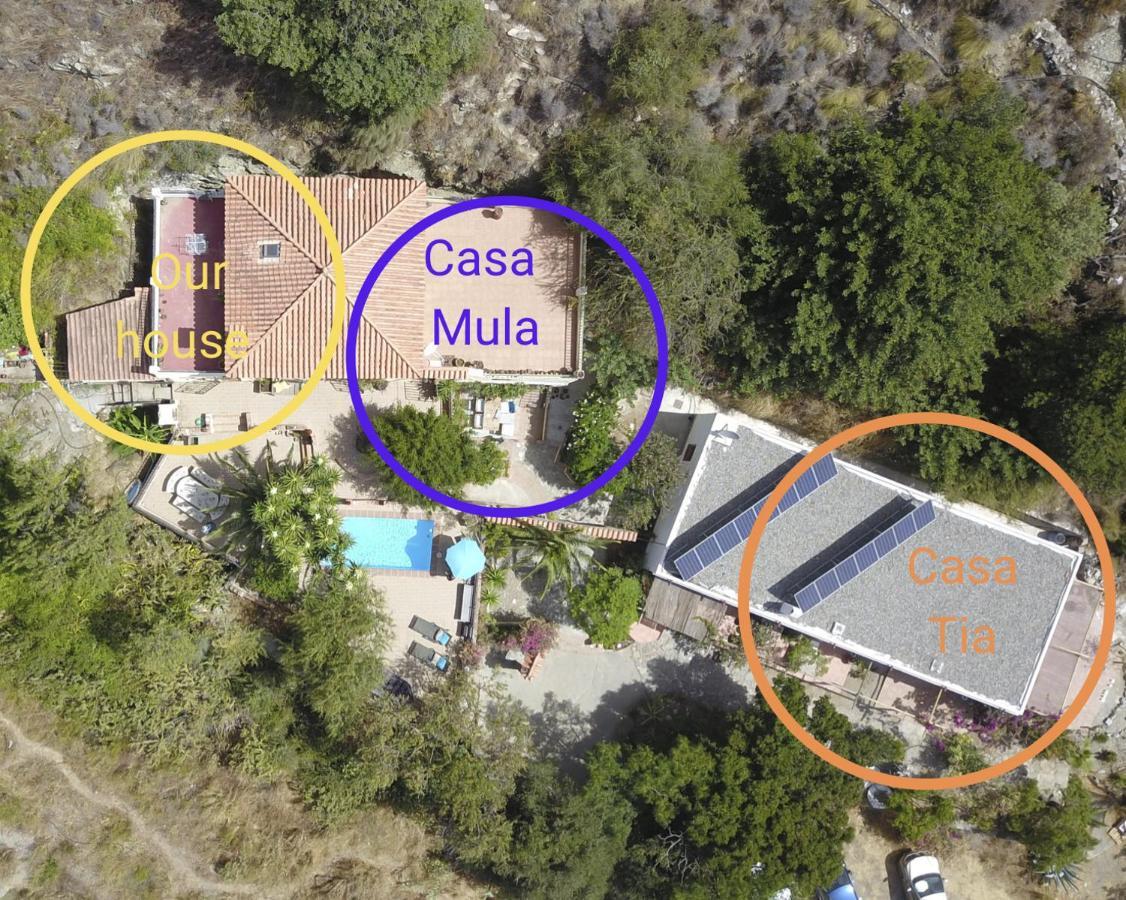 Cortijo Jamaica - Off Grid Paradise - Costa Tropical Los Diaz  ภายนอก รูปภาพ