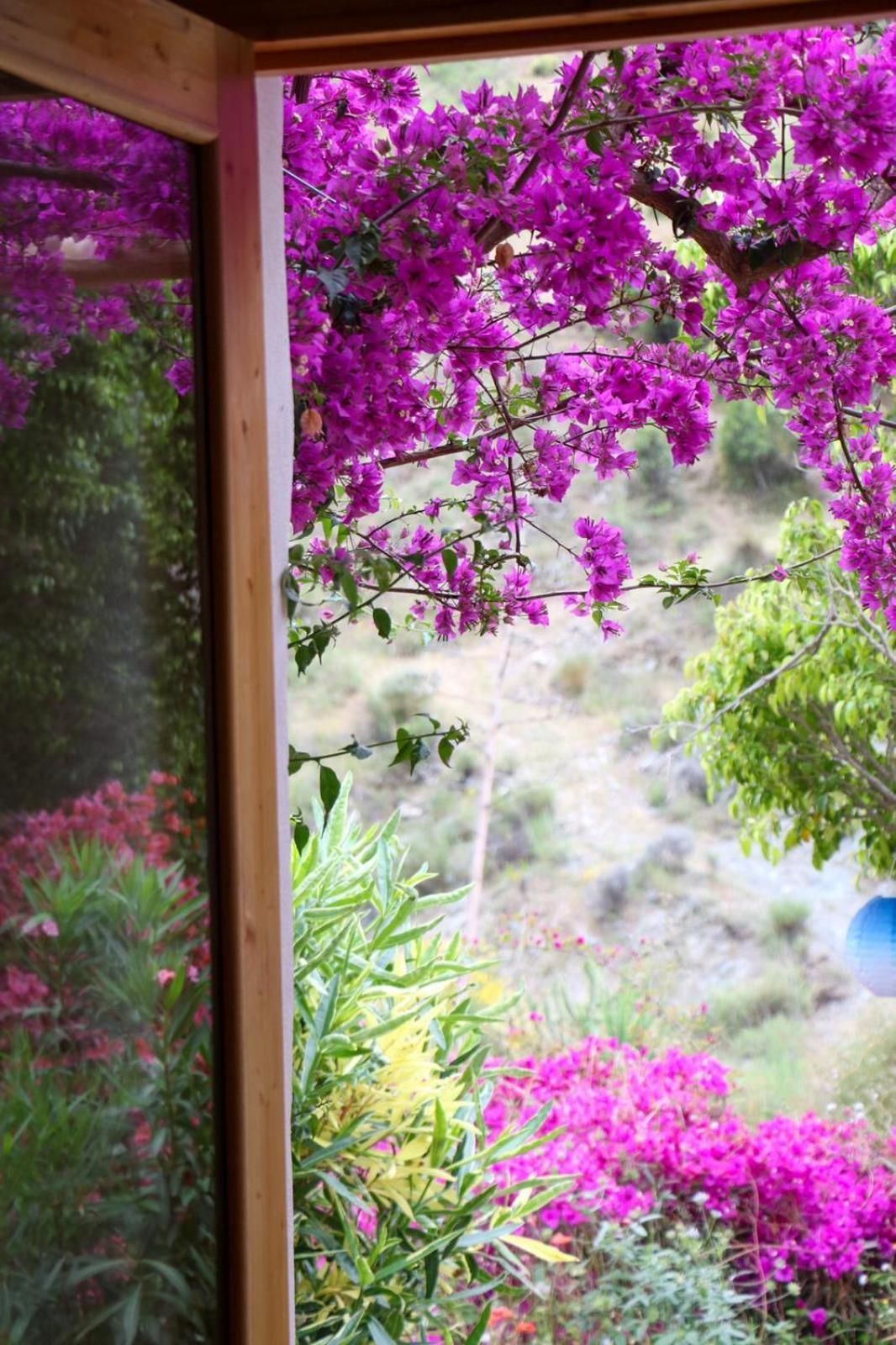 Cortijo Jamaica - Off Grid Paradise - Costa Tropical Los Diaz  ภายนอก รูปภาพ